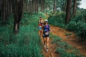 BIB: 
                            <button type="button" onclick="openModal(25659446)" class="btn btn-primary btn-sm float-right btn-popup" data-toggle="modal" data-target=".modal-high-quality">
                        <i class="fas fa-shopping-cart"></i> Add to Cart
                    </button>
                                            <button type="button" onclick="isThisMe(25659446, true)" class="btn btn-success btn-sm float-right btn-popup btn-isme hidden" data-toggle="tooltip" data-placement="bottom" title="นี่คือรูปของคุณใช่ไหม คลิกที่นี่เพื่อเอาเข้าอัลบั้ม">
                        <i class="fas fa-plus"></i> Add to album
                    </button>
                    <button type="button" onclick="isThisMe(25659446, false)" class="btn btn-warning btn-sm float-right btn-popup btn-isnotme hidden">
                        <i class="fas fa-ban"></i> Remove from album
                    </button>